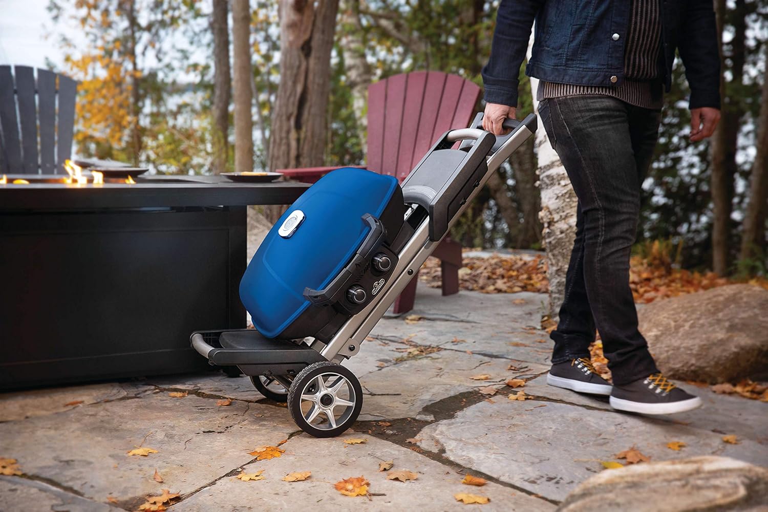 Napoleon PRO285-BK Portable Propane Grill, Black