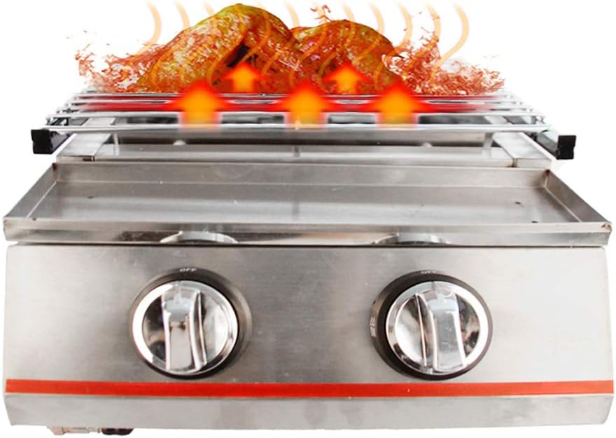 Portable Gas Grill Tabletop Outdoor Cooking Grill for Picnic Camping RV Tailgating Patio Garden BBQ, w/Cabinet Style Stainless Steel Gas Griller (2 Burner)