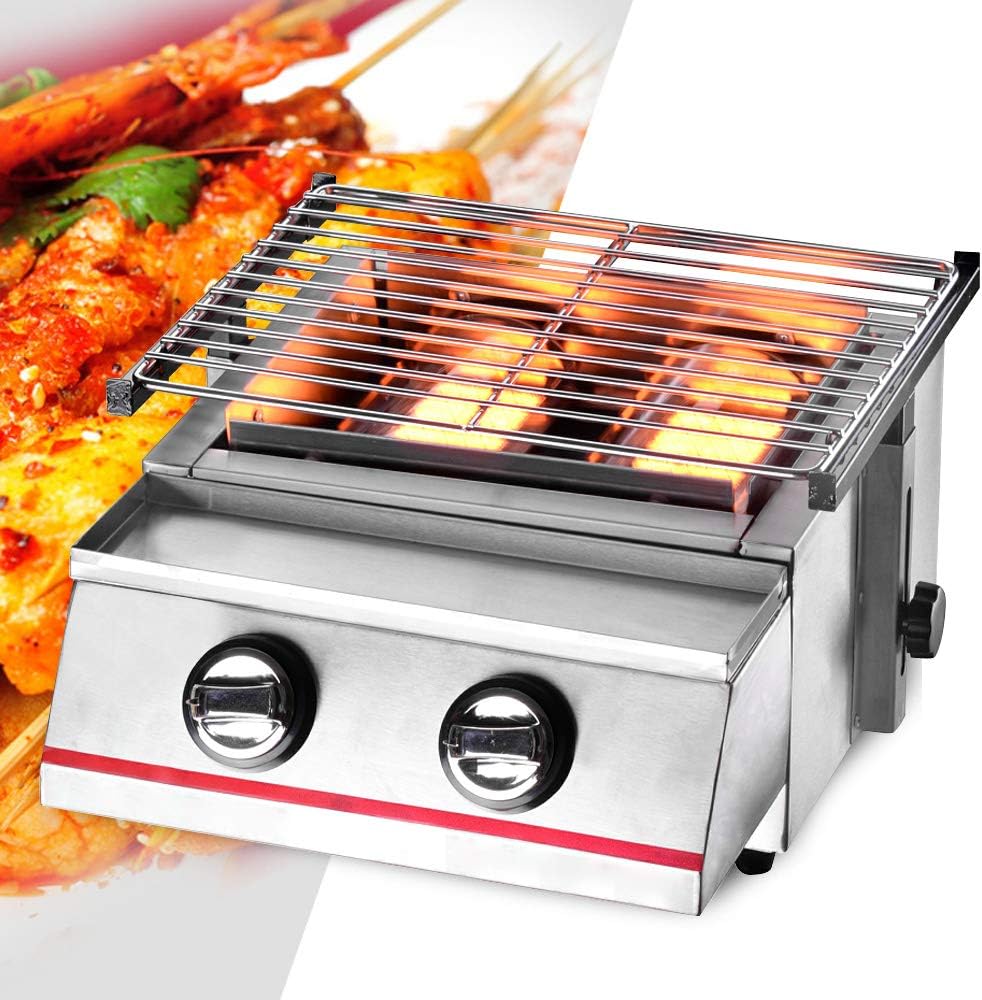 Portable Gas Grill Tabletop Outdoor Cooking Grill for Picnic Camping RV Tailgating Patio Garden BBQ, w/Cabinet Style Stainless Steel Gas Griller (2 Burner)