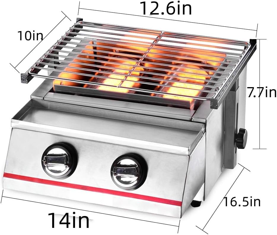 Portable Gas Grill Tabletop Outdoor Cooking Grill for Picnic Camping RV Tailgating Patio Garden BBQ, w/Cabinet Style Stainless Steel Gas Griller (2 Burner)