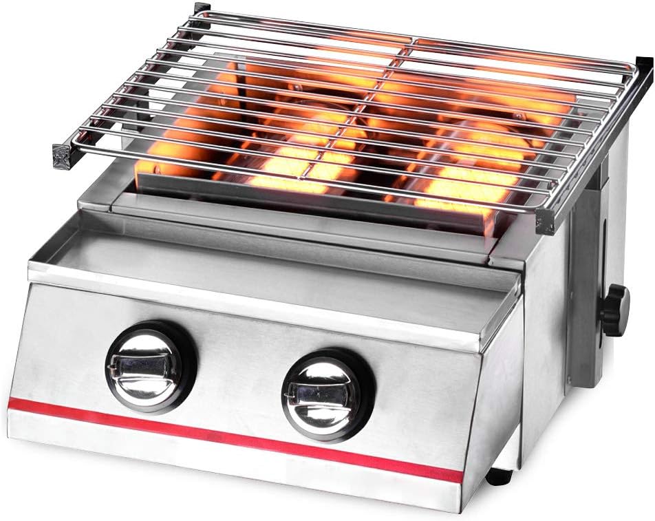 Portable Gas Grill Tabletop Outdoor Cooking Grill for Picnic Camping RV Tailgating Patio Garden BBQ, w/Cabinet Style Stainless Steel Gas Griller (2 Burner)