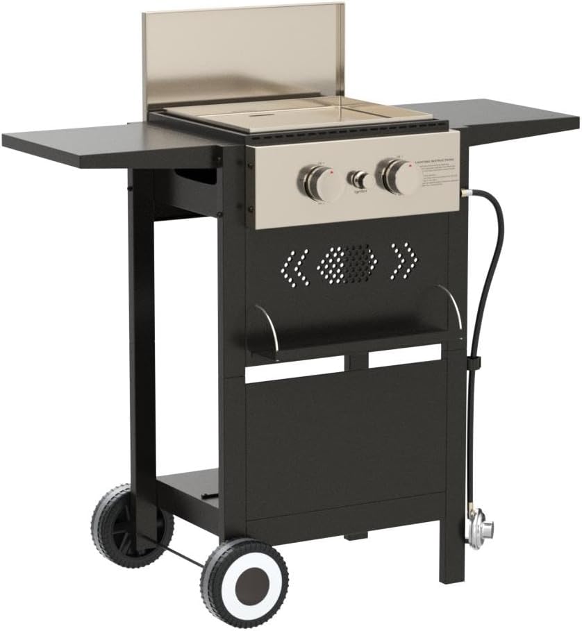 MFSTUDIO 2-Burner Propane Gas BBQ Grill Review